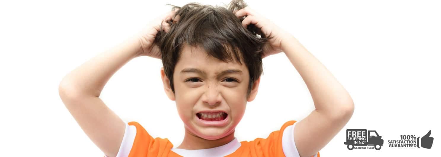 LICE2 title image Get rid of the itchy scalp from head lice bites with Lice Lather Treatment Shampoo -Best Nit Treatment in NZ